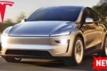 Tesla Model Y Electric Car Launched